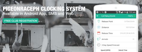 mavc online clocking|About PigeonRacePH .